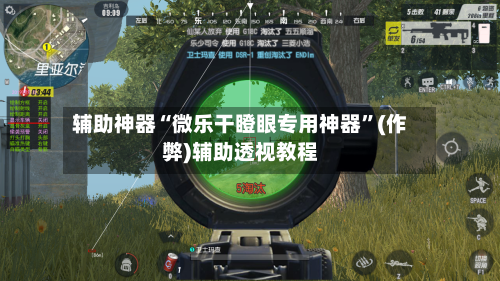 辅助神器“微乐干瞪眼专用神器	”(作弊)辅助透视教程-第2张图片