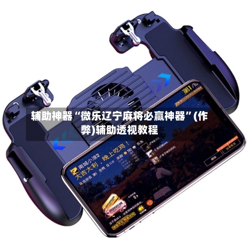 辅助神器“微乐辽宁麻将必赢神器”(作弊)辅助透视教程-第2张图片