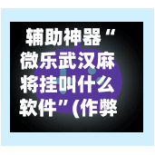 辅助神器“微乐武汉麻将挂叫什么软件	”(作弊)辅助透视教程-第3张图片