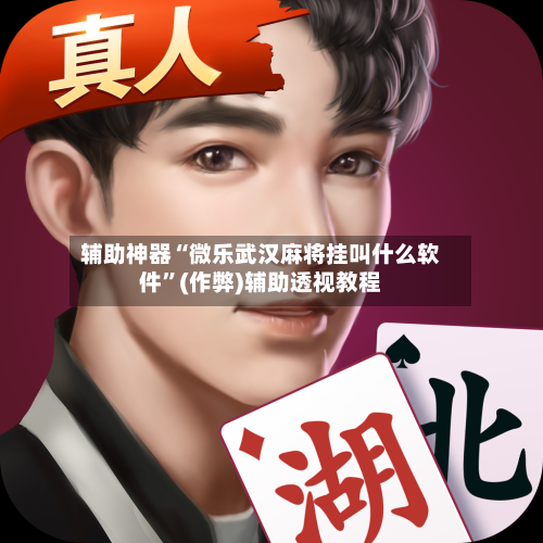 辅助神器“微乐武汉麻将挂叫什么软件”(作弊)辅助透视教程-第2张图片