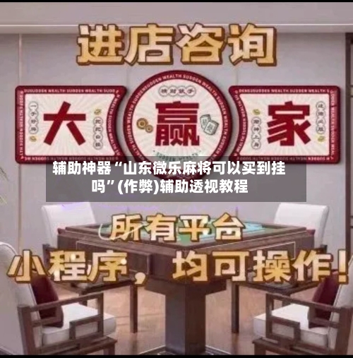辅助神器“山东微乐麻将可以买到挂吗”(作弊)辅助透视教程-第2张图片