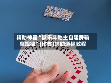 辅助神器“微乐斗地主自建房输赢规律	”(作弊)辅助透视教程-第2张图片