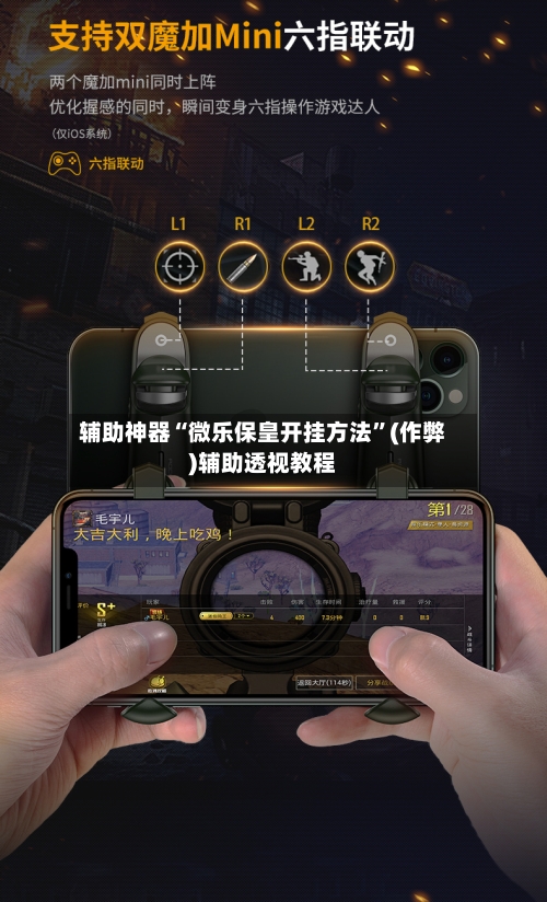 辅助神器“微乐保皇开挂方法”(作弊)辅助透视教程