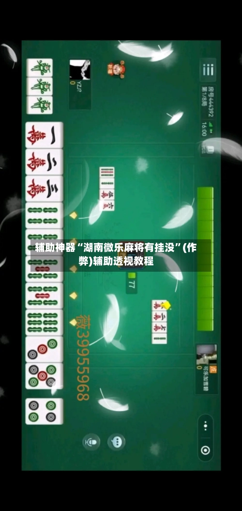 辅助神器“湖南微乐麻将有挂没”(作弊)辅助透视教程-第3张图片