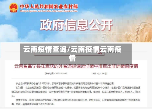 云南疫情查询/云南疫情云南疫情-第2张图片