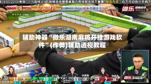 辅助神器“微乐湖南麻将开挂游戏软件	”(作弊)辅助透视教程-第2张图片