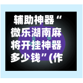 辅助神器“微乐湖南麻将开挂神器多少钱”(作弊)辅助透视教程-第3张图片