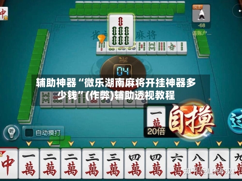 辅助神器“微乐湖南麻将开挂神器多少钱	”(作弊)辅助透视教程-第2张图片
