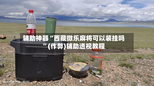 辅助神器“西藏微乐麻将可以装挂吗	”(作弊)辅助透视教程-第3张图片
