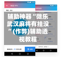 辅助神器“微乐武汉麻将有挂没”(作弊)辅助透视教程-第3张图片