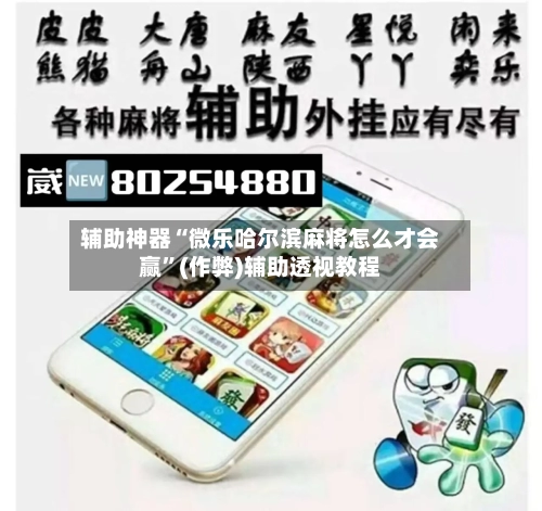 辅助神器“微乐哈尔滨麻将怎么才会赢”(作弊)辅助透视教程