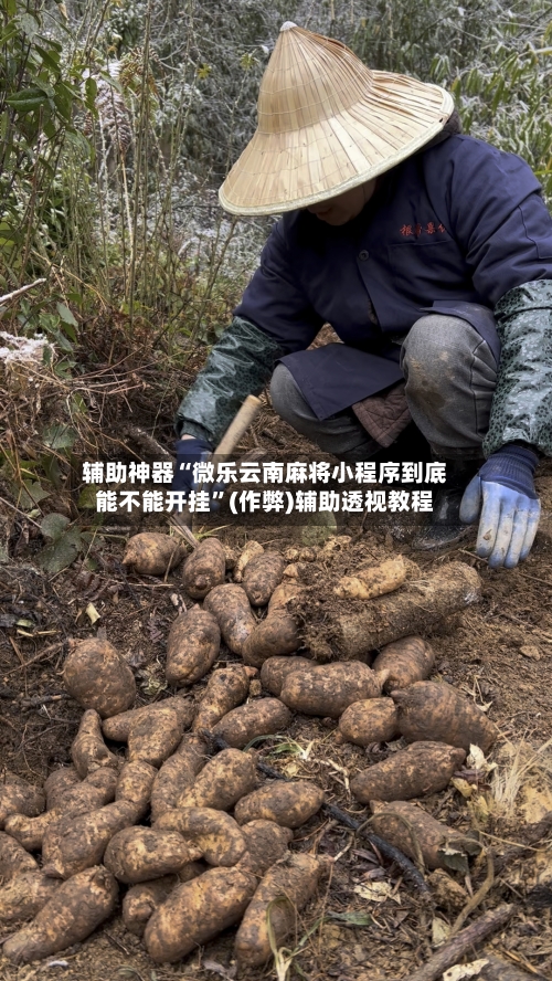 辅助神器“微乐云南麻将小程序到底能不能开挂”(作弊)辅助透视教程-第2张图片