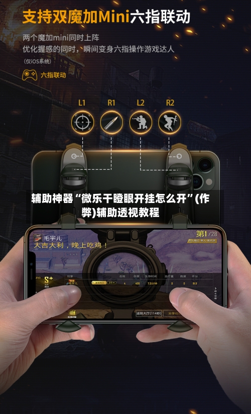 辅助神器“微乐干瞪眼开挂怎么开”(作弊)辅助透视教程