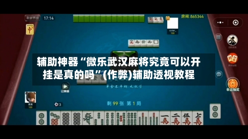辅助神器“微乐武汉麻将究竟可以开挂是真的吗”(作弊)辅助透视教程-第2张图片