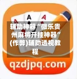 辅助神器“微乐贵州麻将开挂神器”(作弊)辅助透视教程-第3张图片