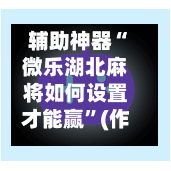辅助神器“微乐湖北麻将如何设置才能赢”(作弊)辅助透视教程
