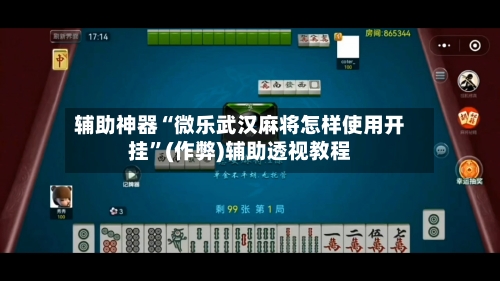 辅助神器“微乐武汉麻将怎样使用开挂”(作弊)辅助透视教程-第3张图片