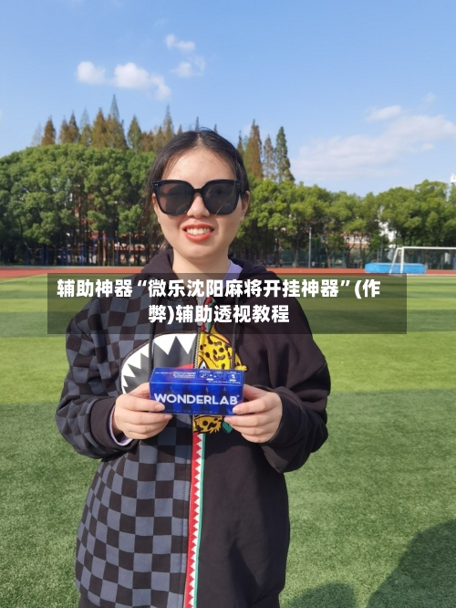 辅助神器“微乐沈阳麻将开挂神器”(作弊)辅助透视教程
