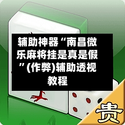 辅助神器“南昌微乐麻将挂是真是假”(作弊)辅助透视教程-第2张图片