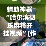 辅助神器“哈尔滨微乐麻将开挂视频”(作弊)辅助透视教程-第2张图片