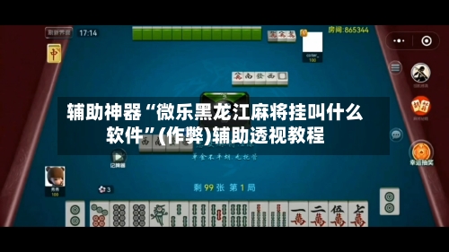 辅助神器“微乐黑龙江麻将挂叫什么软件	”(作弊)辅助透视教程-第3张图片