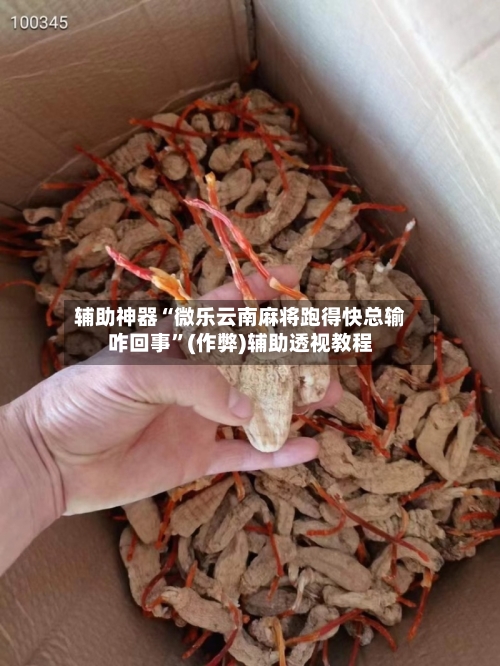 辅助神器“微乐云南麻将跑得快总输咋回事”(作弊)辅助透视教程