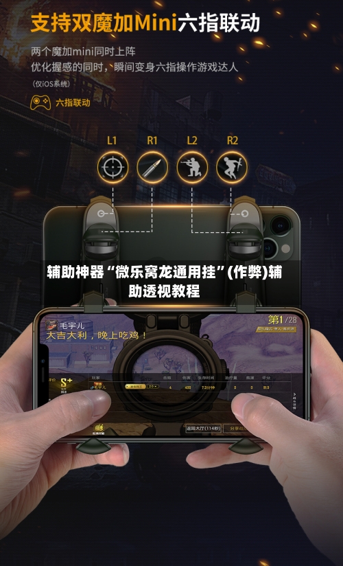 辅助神器“微乐窝龙通用挂	”(作弊)辅助透视教程-第3张图片