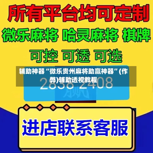 辅助神器“微乐贵州麻将助赢神器”(作弊)辅助透视教程-第2张图片