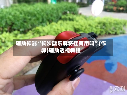 辅助神器“长沙微乐麻将挂有用吗”(作弊)辅助透视教程-第2张图片