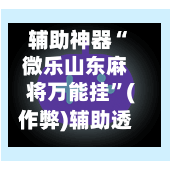 辅助神器“微乐山东麻将万能挂”(作弊)辅助透视教程-第2张图片