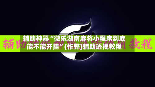 辅助神器“微乐湖南麻将小程序到底能不能开挂”(作弊)辅助透视教程-第3张图片