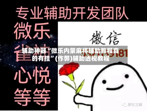 辅助神器“微乐内蒙麻将辅助教程真的有挂	”(作弊)辅助透视教程-第3张图片
