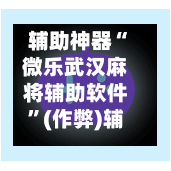 辅助神器“微乐武汉麻将辅助软件”(作弊)辅助透视教程