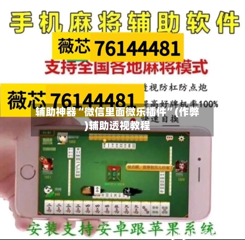 辅助神器“微信里面微乐插件”(作弊)辅助透视教程-第2张图片