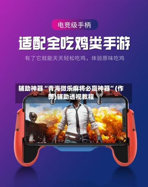 辅助神器“青海微乐麻将必赢神器”(作弊)辅助透视教程-第3张图片