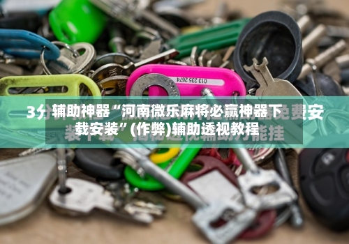 辅助神器“河南微乐麻将必赢神器下载安装”(作弊)辅助透视教程-第2张图片