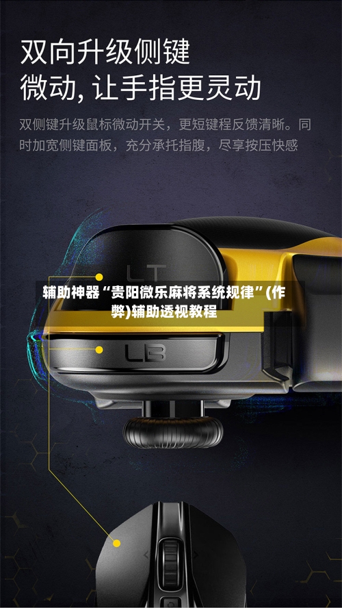 辅助神器“贵阳微乐麻将系统规律”(作弊)辅助透视教程-第2张图片