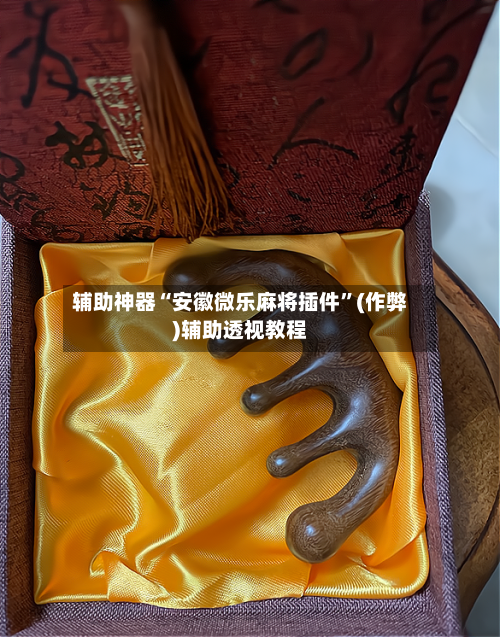 辅助神器“安徽微乐麻将插件”(作弊)辅助透视教程-第2张图片