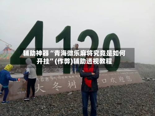 辅助神器“青海微乐麻将究竟是如何开挂”(作弊)辅助透视教程-第3张图片