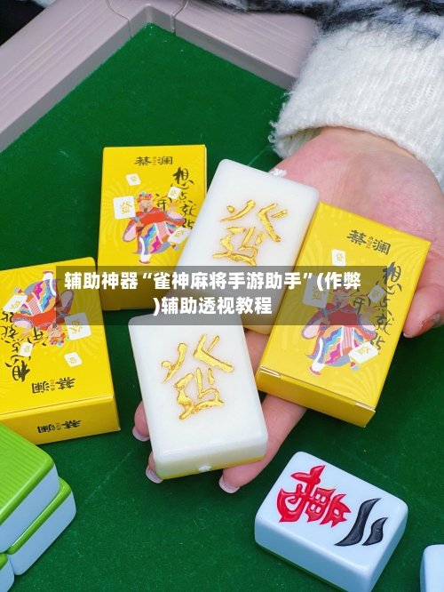 辅助神器“雀神麻将手游助手”(作弊)辅助透视教程-第2张图片
