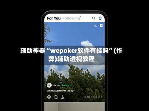 辅助神器“wepoker软件有挂吗”(作弊)辅助透视教程-第2张图片