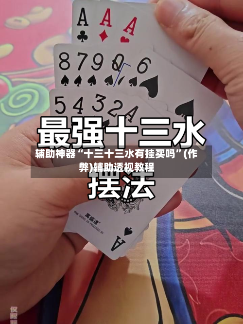 辅助神器“十三十三水有挂买吗”(作弊)辅助透视教程-第3张图片