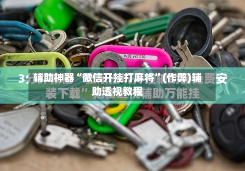 辅助神器“微信开挂打麻将”(作弊)辅助透视教程-第2张图片