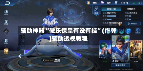 辅助神器“微乐保皇有没有挂”(作弊)辅助透视教程