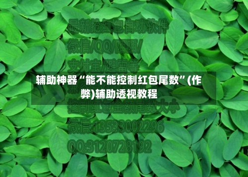 辅助神器“能不能控制红包尾数”(作弊)辅助透视教程-第2张图片