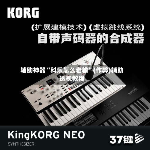 辅助神器“科乐怎么老输	”(作弊)辅助透视教程-第3张图片