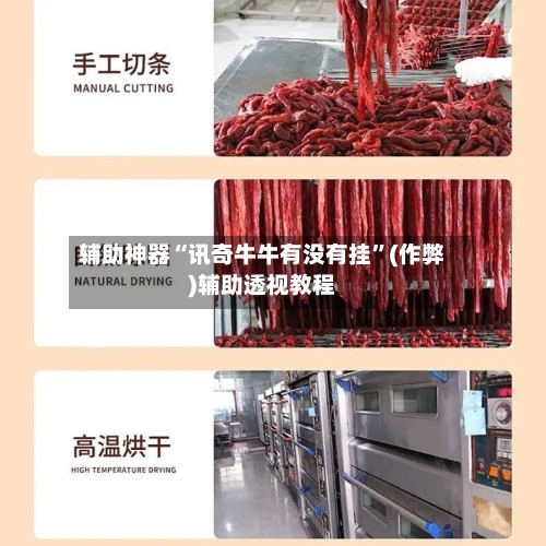 辅助神器“讯奇牛牛有没有挂”(作弊)辅助透视教程-第3张图片