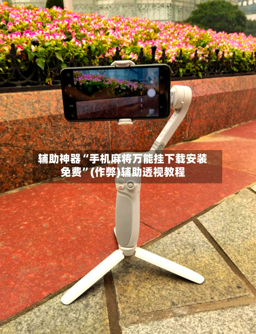 辅助神器“手机麻将万能挂下载安装免费”(作弊)辅助透视教程-第3张图片