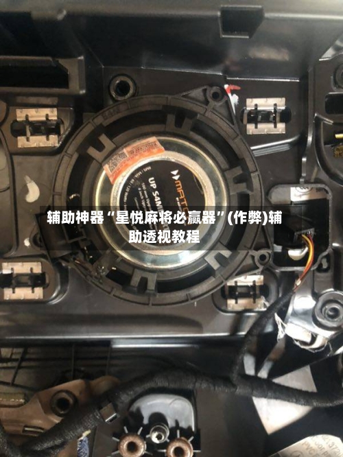 辅助神器“星悦麻将必赢器”(作弊)辅助透视教程-第2张图片