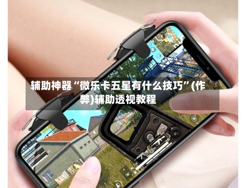 辅助神器“微乐卡五星有什么技巧	”(作弊)辅助透视教程-第3张图片